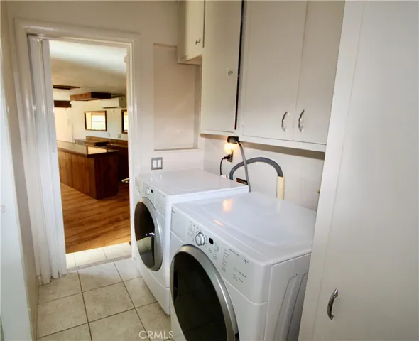 a view of a tree in front of a tree