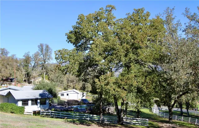 a view of park with large trees
