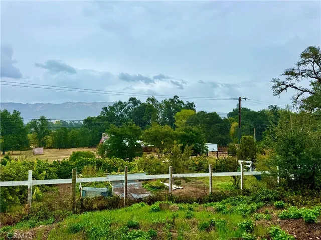 a view of a garden with an outdoor space