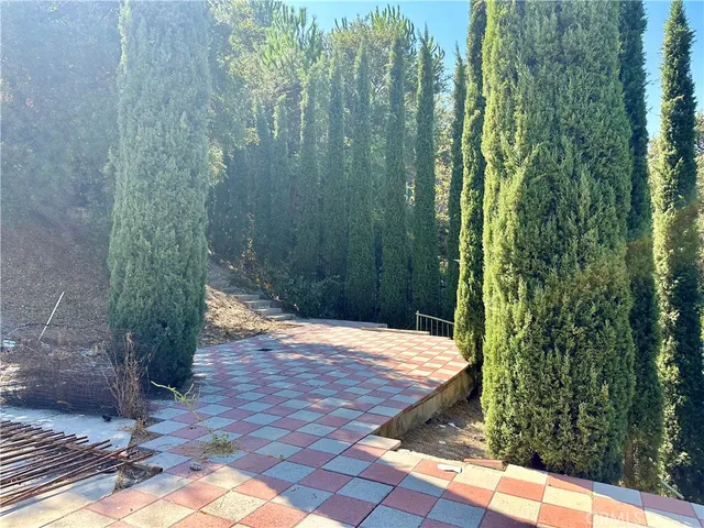 a view of a yard with plants and a large tree
