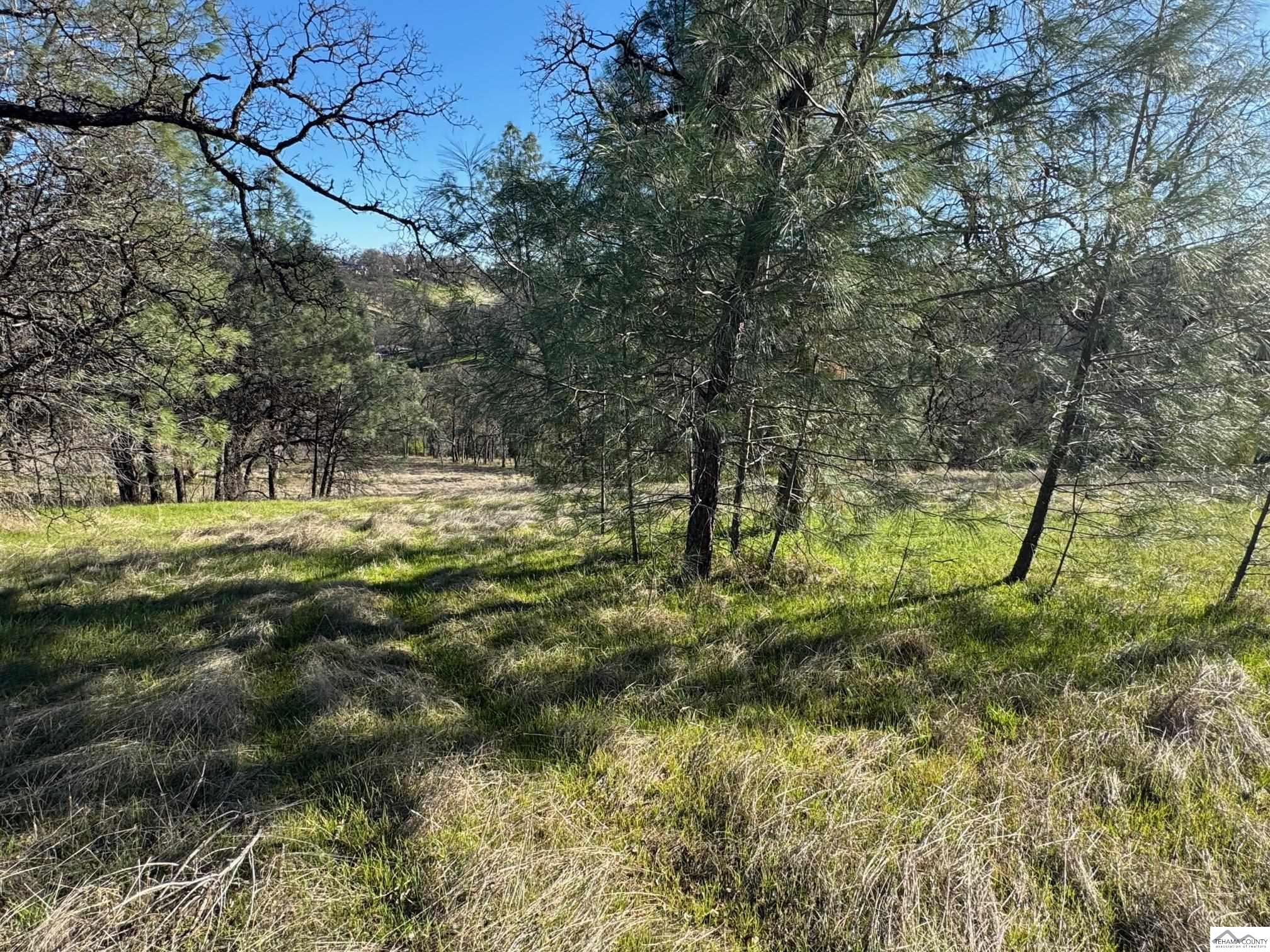 7285 Bluebird Road Corning, CA 96021 - Photo 4 of 19