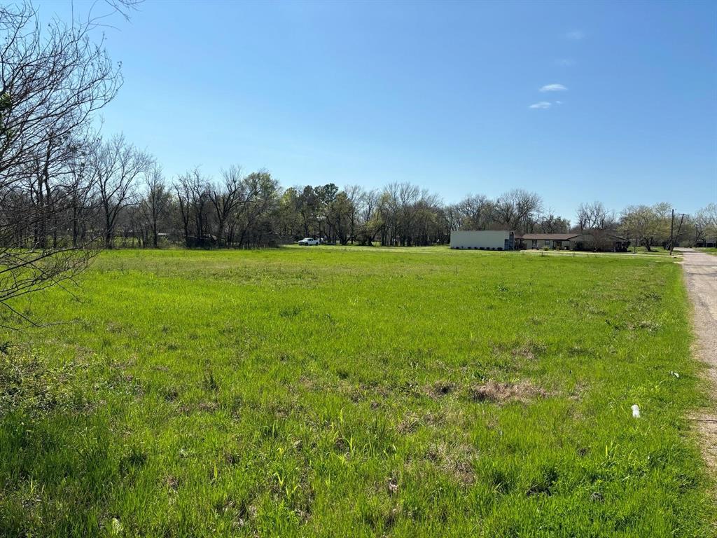 a view of field with trees in the background