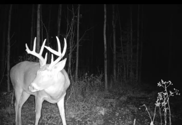 $589,000 | 12201 East Hakkala Road, Maple, WI 54854