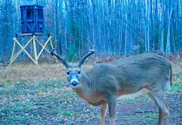 12201 East Hakkala Road Maple, WI 54854 - Photo 20 of 59