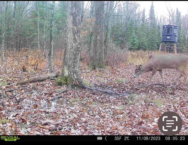 12201 East Hakkala Road Maple, WI 54854 - Photo 21 of 59