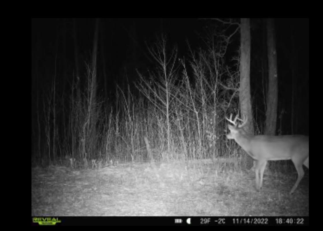 12201 East Hakkala Road Maple, WI 54854 - Photo 22 of 59