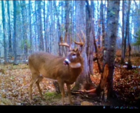 $589,000 | 12201 East Hakkala Road, Maple, WI 54854