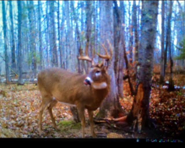 12201 East Hakkala Road Maple, WI 54854 - Photo 23 of 59