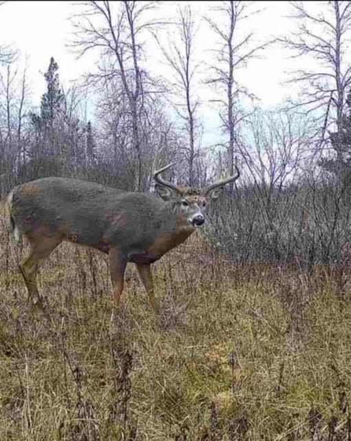 12201 East Hakkala Road Maple, WI 54854 - Photo 25 of 59