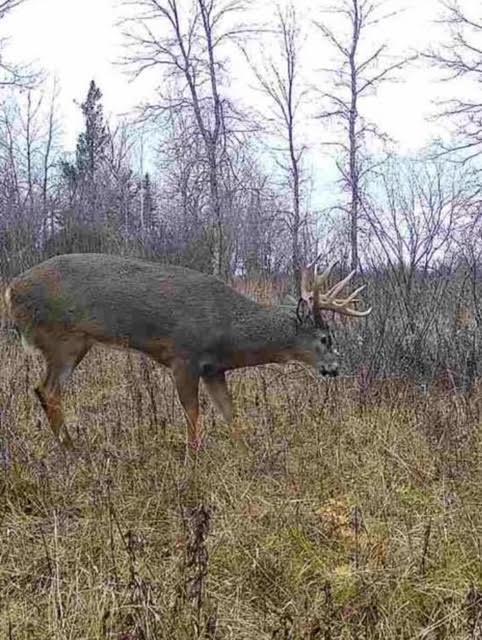 12201 East Hakkala Road Maple, WI 54854 - Photo 27 of 59
