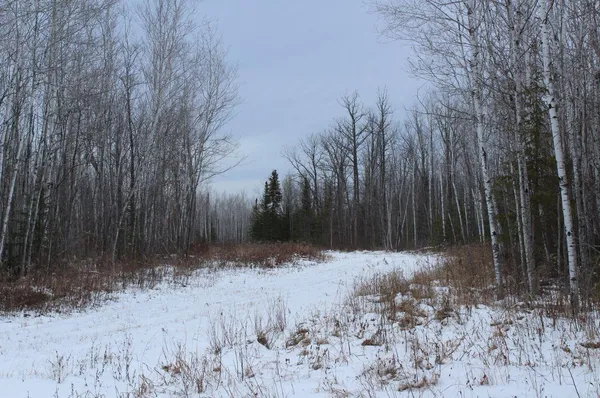 $589,000 | 12201 East Hakkala Road, Maple, WI 54854