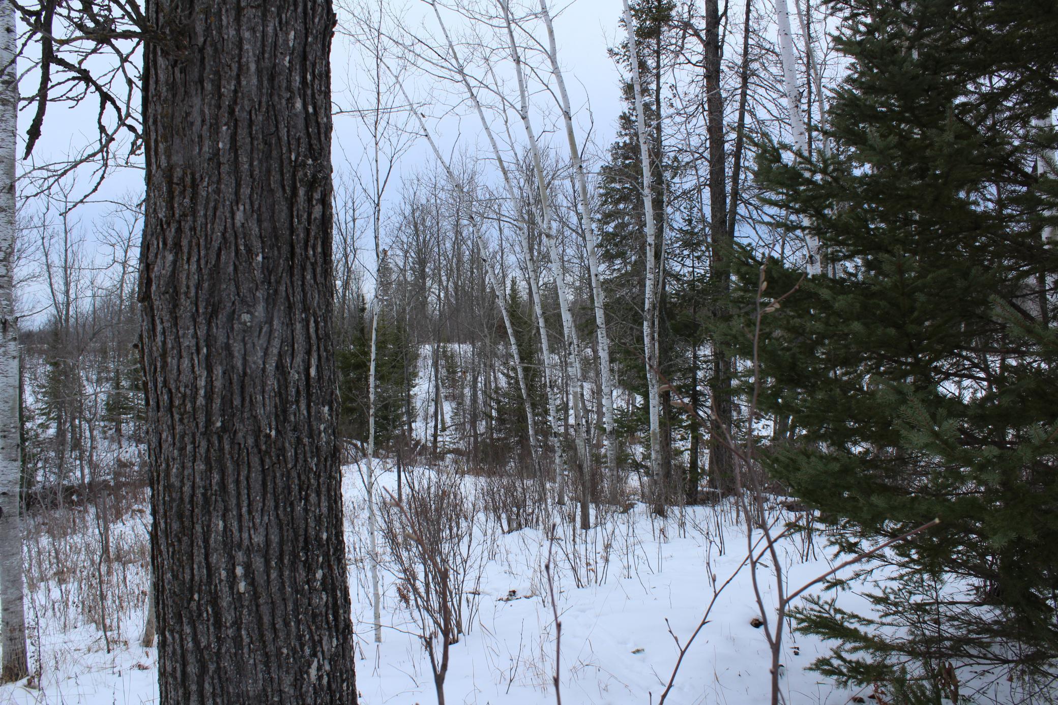 12201 East Hakkala Road Maple, WI 54854 - Photo 37 of 59