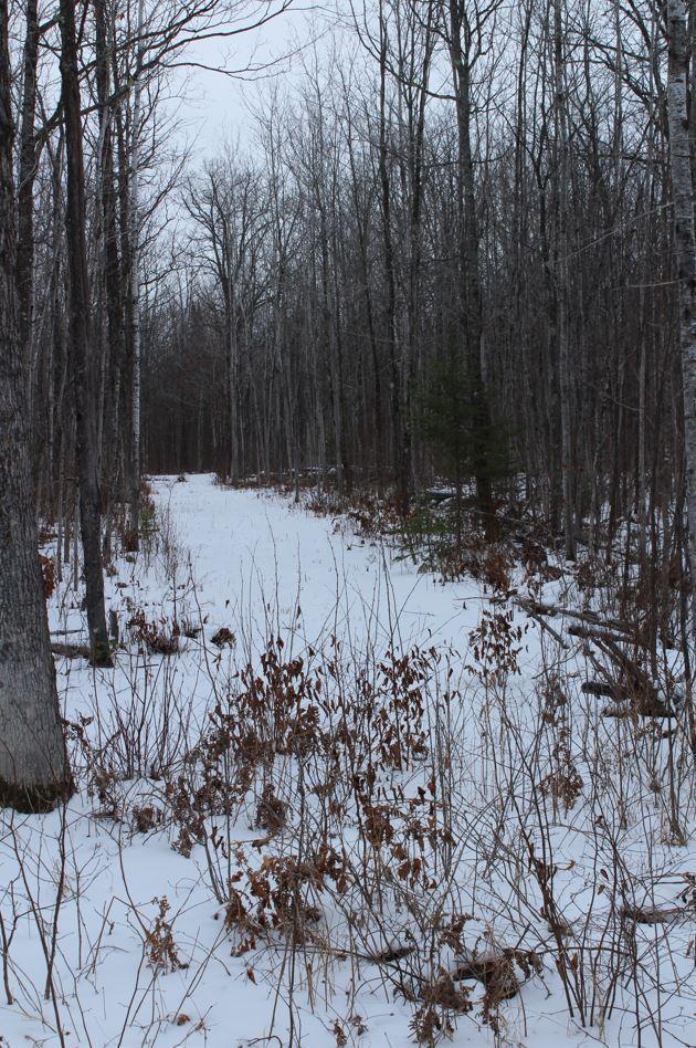 12201 East Hakkala Road Maple, WI 54854 - Photo 42 of 59