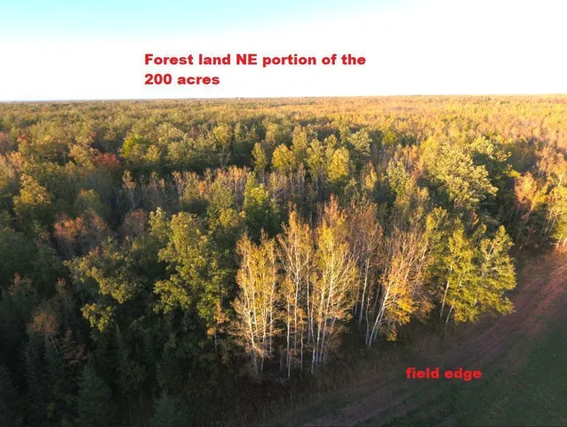 $589,000 | 12201 East Hakkala Road, Maple, WI 54854