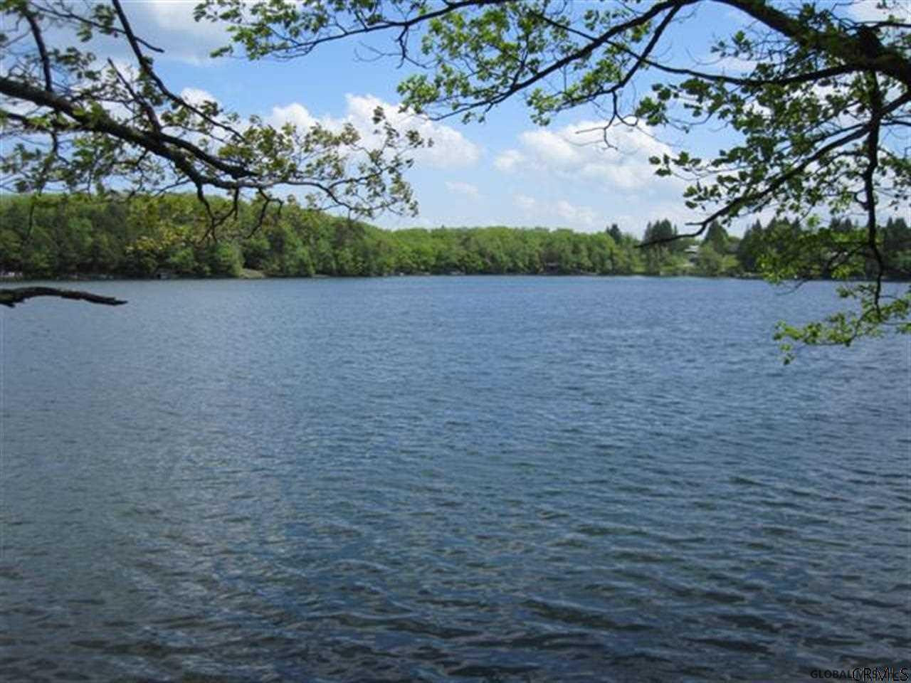 39 Crystal Lake Road Rensselaerville, NY 12147 - Photo 1 of 12 Photo 1