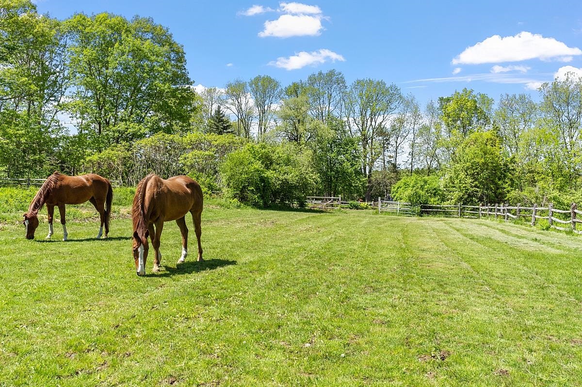 153 Exeter Road Hampton Falls, NH 03844 - Photo 30 of 40
