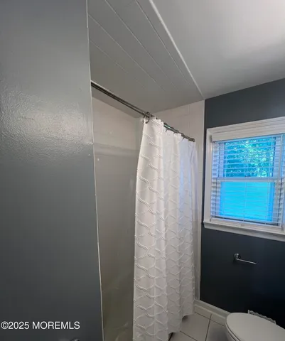 a bathroom with a shower and a toilet