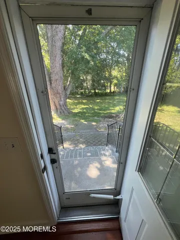 a view of backyard from window