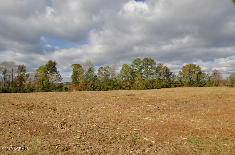 3 Frazier Road Spring Hope, NC 27882 - Photo 3 of 8 2