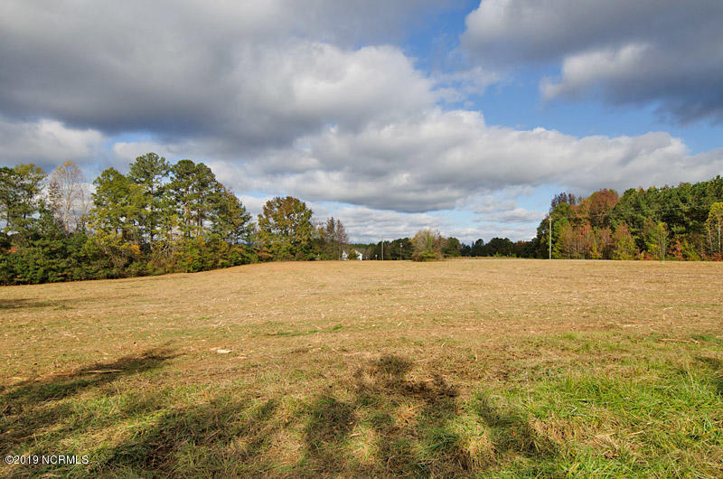 3 Frazier Road Spring Hope, NC 27882 - Photo 4 of 8 4