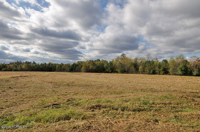 3 Frazier Road Spring Hope, NC 27882 - Photo 7 of 8 7