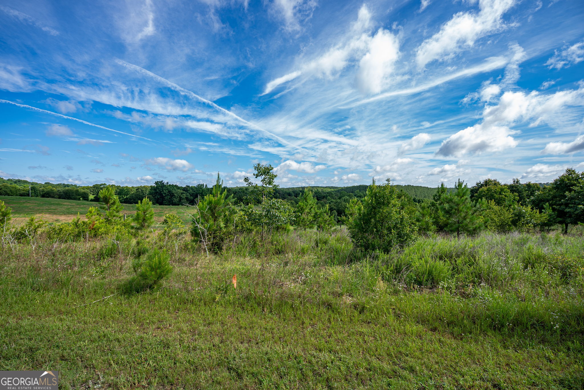 2286 Duffell Martin Road Comer, GA 30629 - Photo 31 of 81