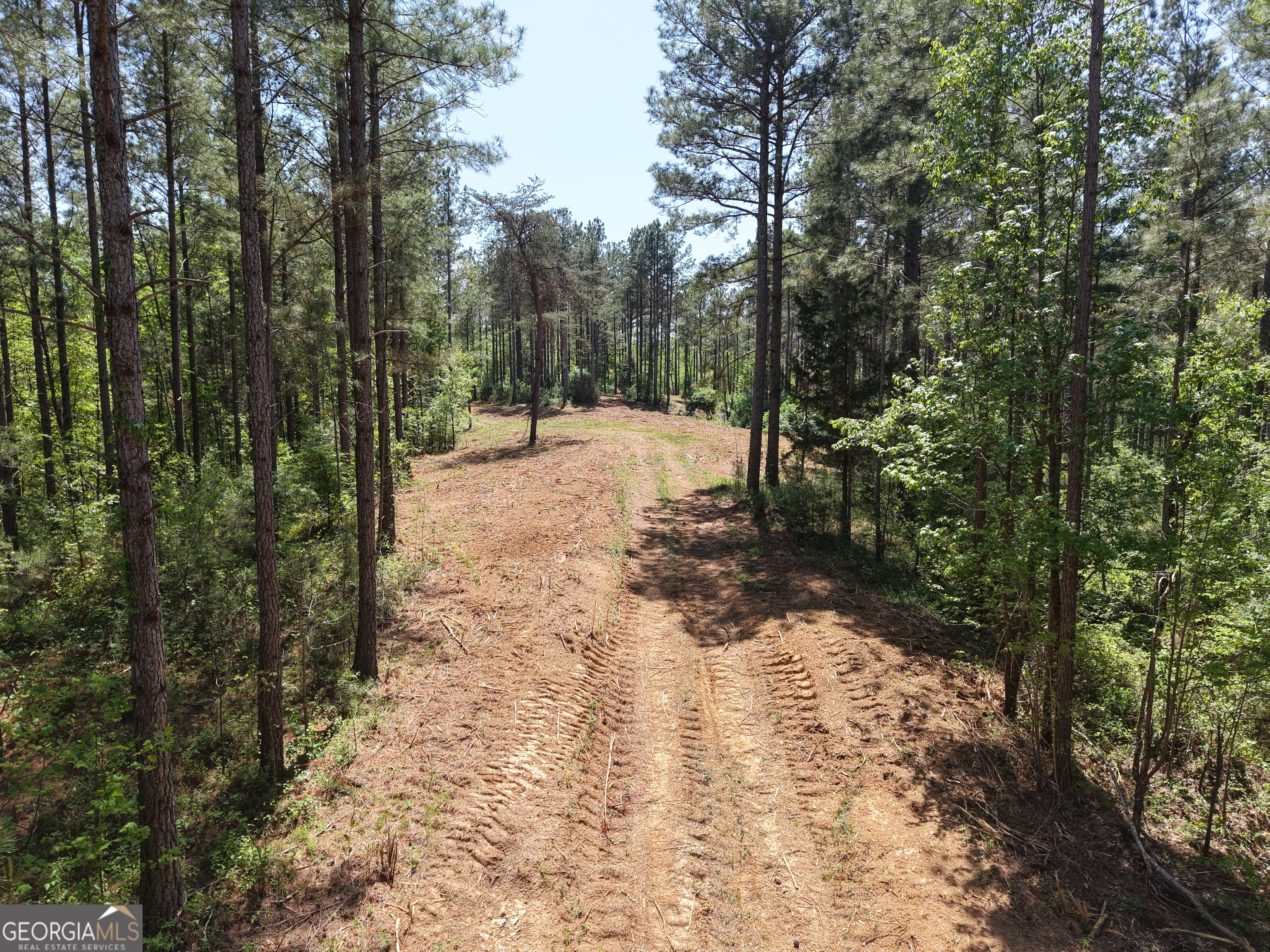 0 Ryo Mountain Road, Unit 9609 Fairmount, GA 30139 - Photo 63 of 87 Gallery Image 63