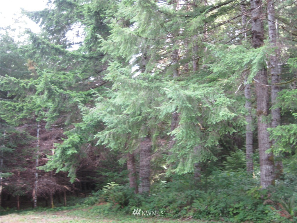 4354 Wishkah Road Aberdeen, WA 98520 - Photo 13 of 19 Gallery Image 13