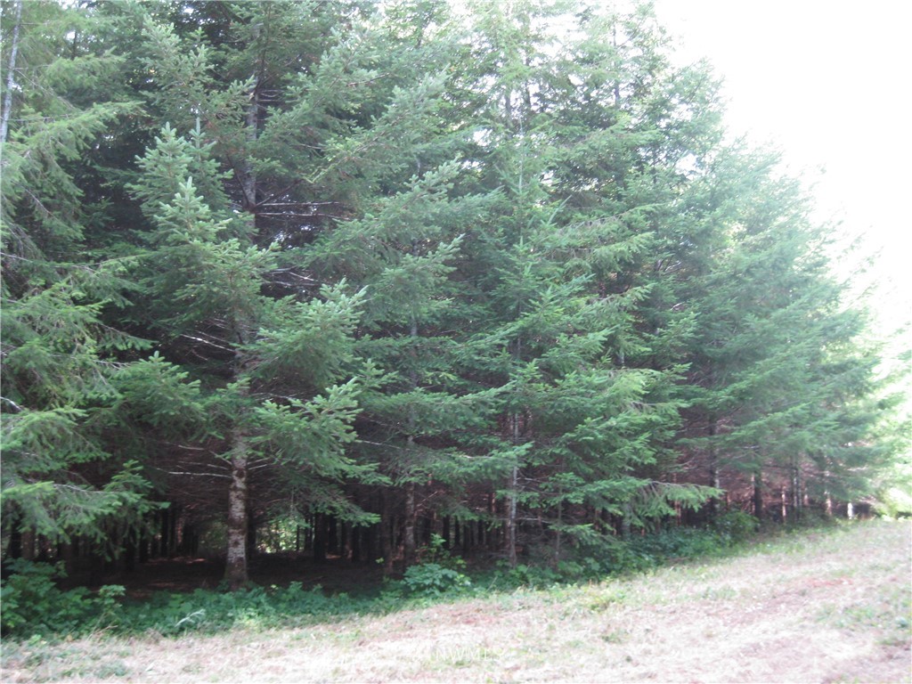 4354 Wishkah Road Aberdeen, WA 98520 - Photo 10 of 19 Gallery Image 10