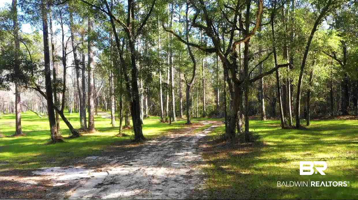 0 Collins Lane Foley, AL 36535 - Photo 6 of 13