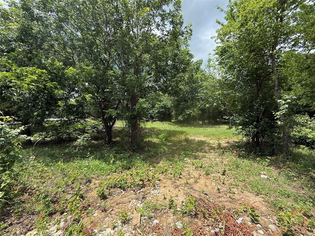 5 Slate Rock Road Ennis, TX 75119 - Photo 18 of 20