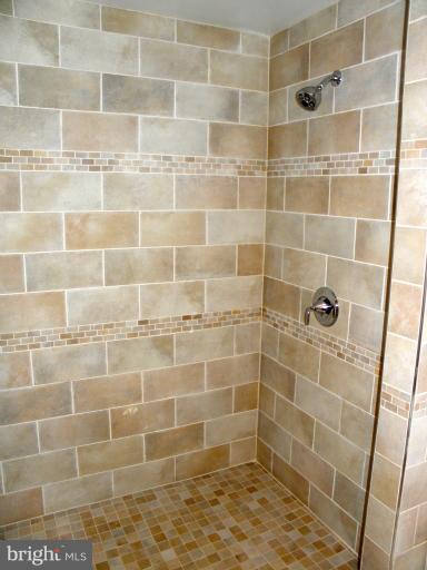3960 S Street Southeast Washington, DC 20020 - Photo 12 of 27 a bathroom with a shower