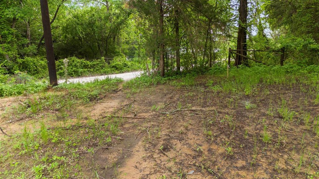 Tbd Lot 5 Tbd Gainesville, TX 76240 - Photo 4 of 8 a view of a forest with trees in the background