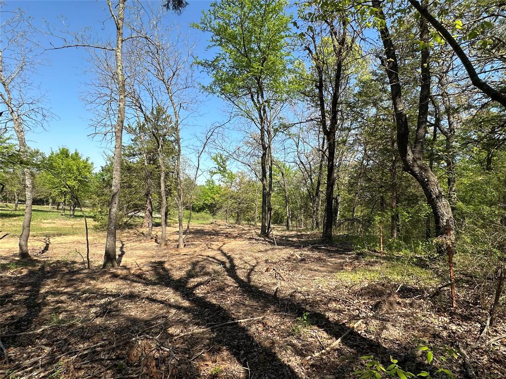 Tbd Lot 5 Tbd Gainesville, TX 76240 - Photo 7 of 8 a view of backyard with green space