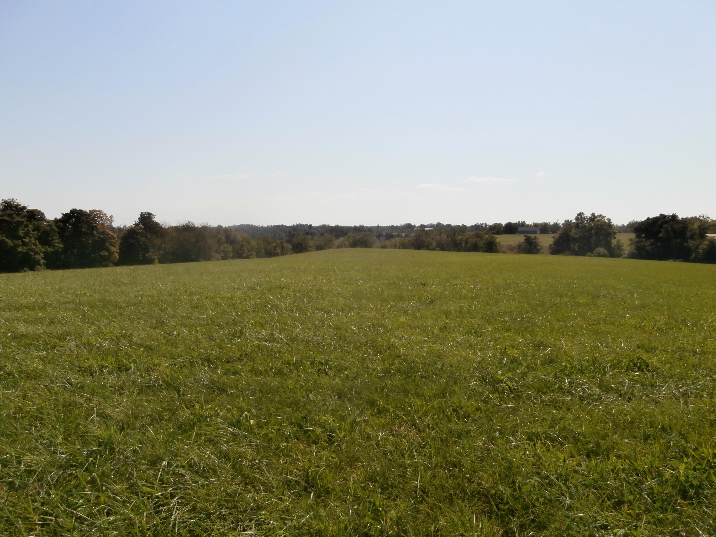 9999 Kirksville Road Paint Lick, KY 40461 - Photo 5 of 8 P1010009