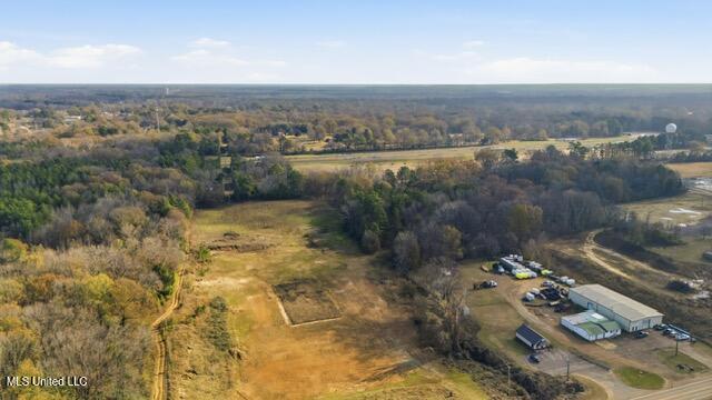 Undisclosed Address Hernando, MS 38651 - Photo 4 of 9 7b428225-79f5-4d6c-b1a4-7f44ebfb911d (1)