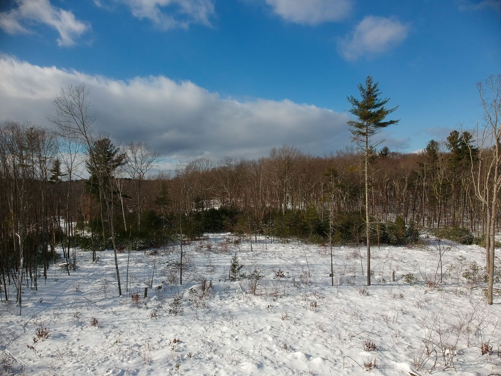 Lot 12 Jackson Road Hardwick, MA 01037 - Photo 4 of 20 Gallery Image 4