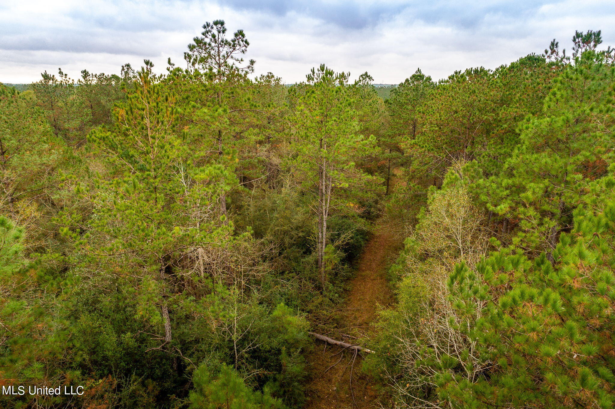 21333 Yankee Town Road Saucier, MS 39574 - Photo 6 of 25 4 Drone View (6 of 19)