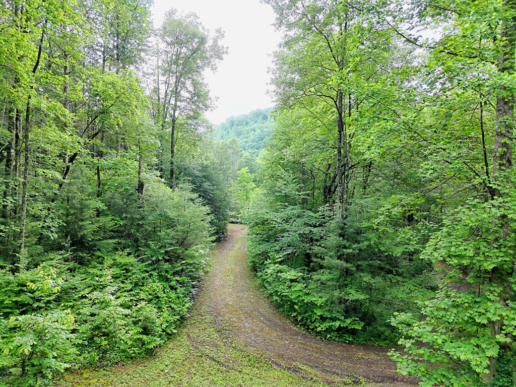 1070 Morgan Creek Road Marble, NC 28905 - Photo 16 of 40