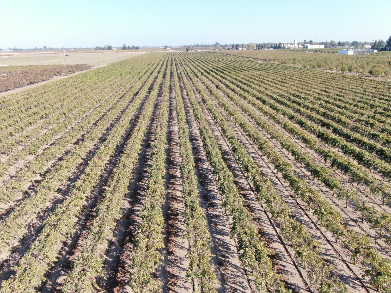 0 North Sycamore Street Acampo, CA 95220 - Photo 2 of 11 a view of an ocean