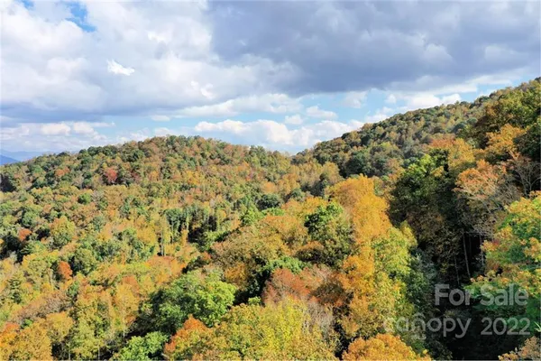 a view of a bunch of trees