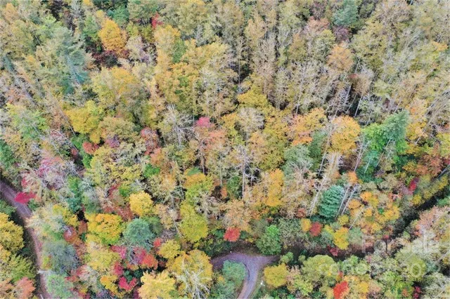 a view of outdoor space and trees