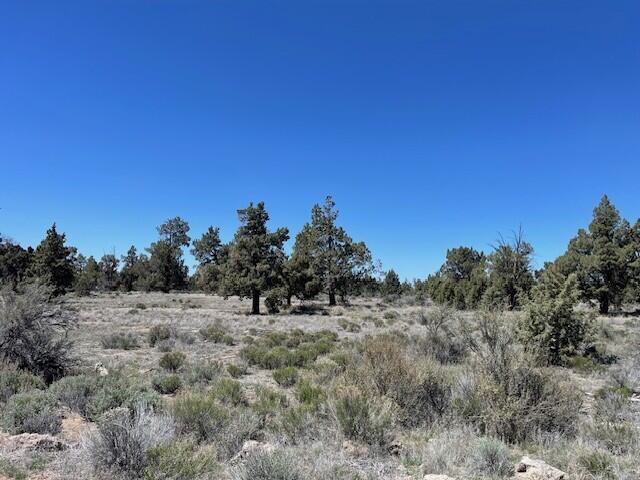 61590 Gribbling Road, Unit LOT 2 Bend, OR 97701 - Photo 9 of 12 a view of a dry field with trees in the background