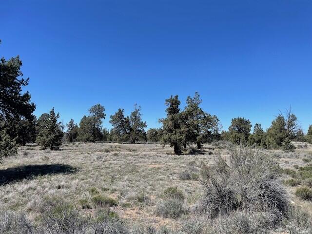 61590 Gribbling Road, Unit LOT 2 Bend, OR 97701 - Photo 10 of 12 a view of a dry yard with trees in the background
