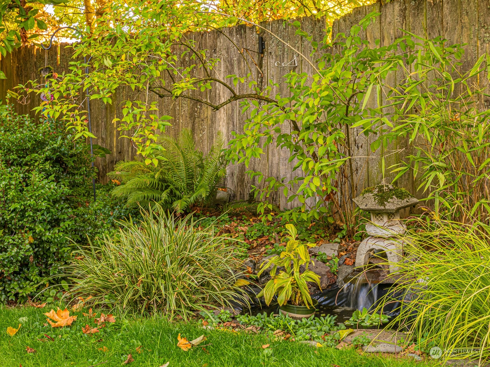 21425 Damson Road Bothell, WA 98021 - Photo 21 of 25 a view of a yard of a building
