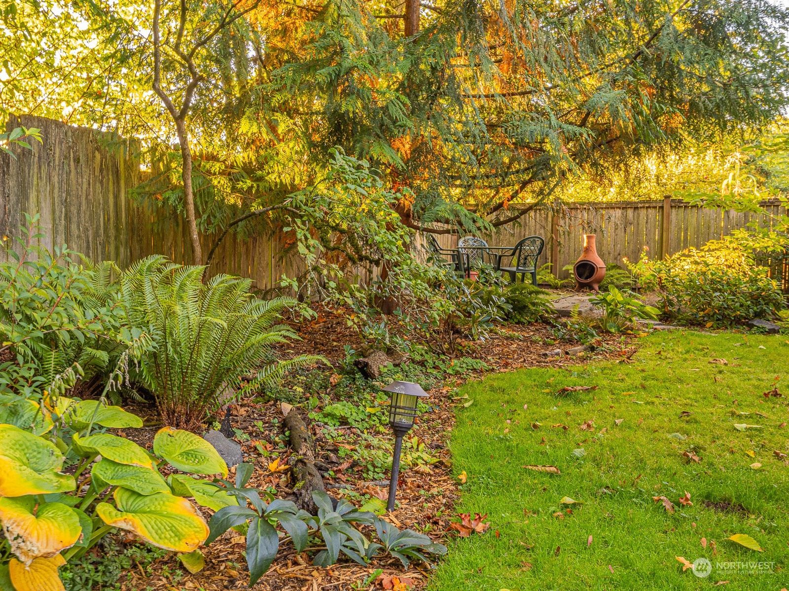 21425 Damson Road Bothell, WA 98021 - Photo 22 of 25 a backyard of a building with large trees