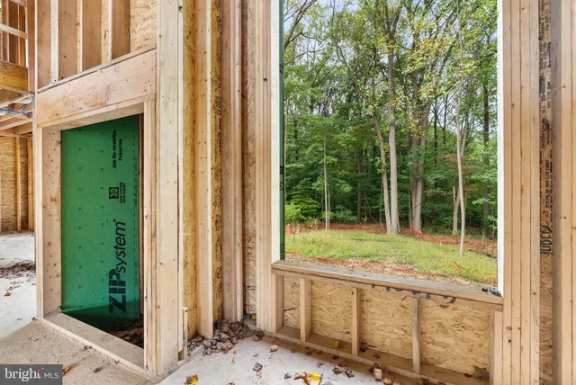 a view of backyard from window