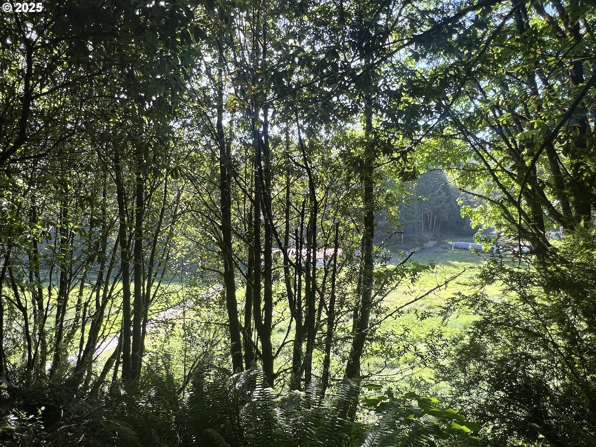 95007 North Way Lane North Bend, OR 97459 - Photo 13 of 19