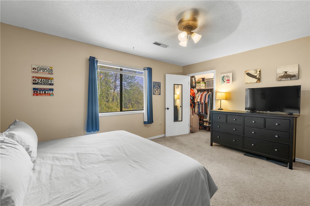 119 Freedom Drive, Unit 8 Clemson, SC 29631 - Photo 20 of 39 This cozy bedroom features a bright window and convenient walk-in closet for comfortable living.