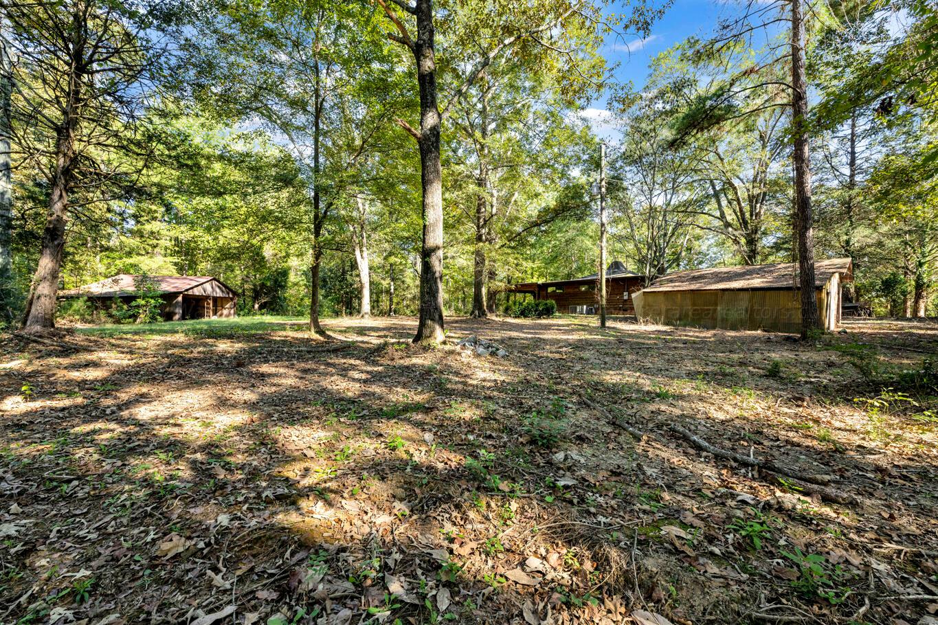 100 Shores Camp Road Adger, AL 35006 - Photo 22 of 25 Gallery Image 22
